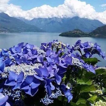 Agriturismo Piccolo Paradiso Pianello Del Lario Exterior foto